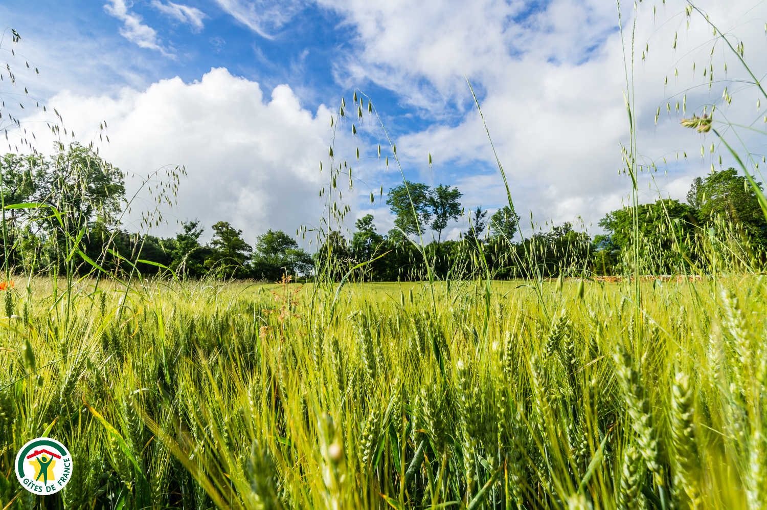 Les environs du gîte