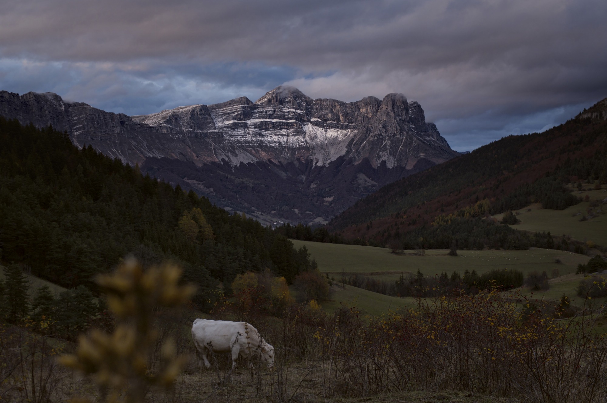 Paysage Les Deux soeurs depuis le Trièves
