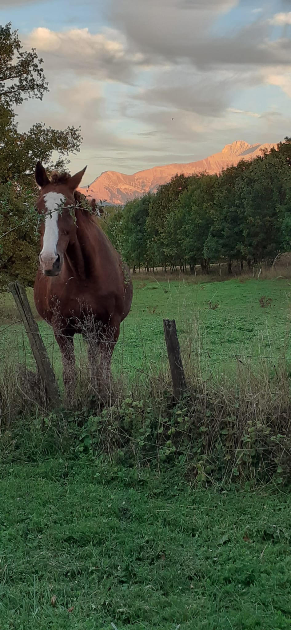 Petite maison dans la prairie_Clelles
