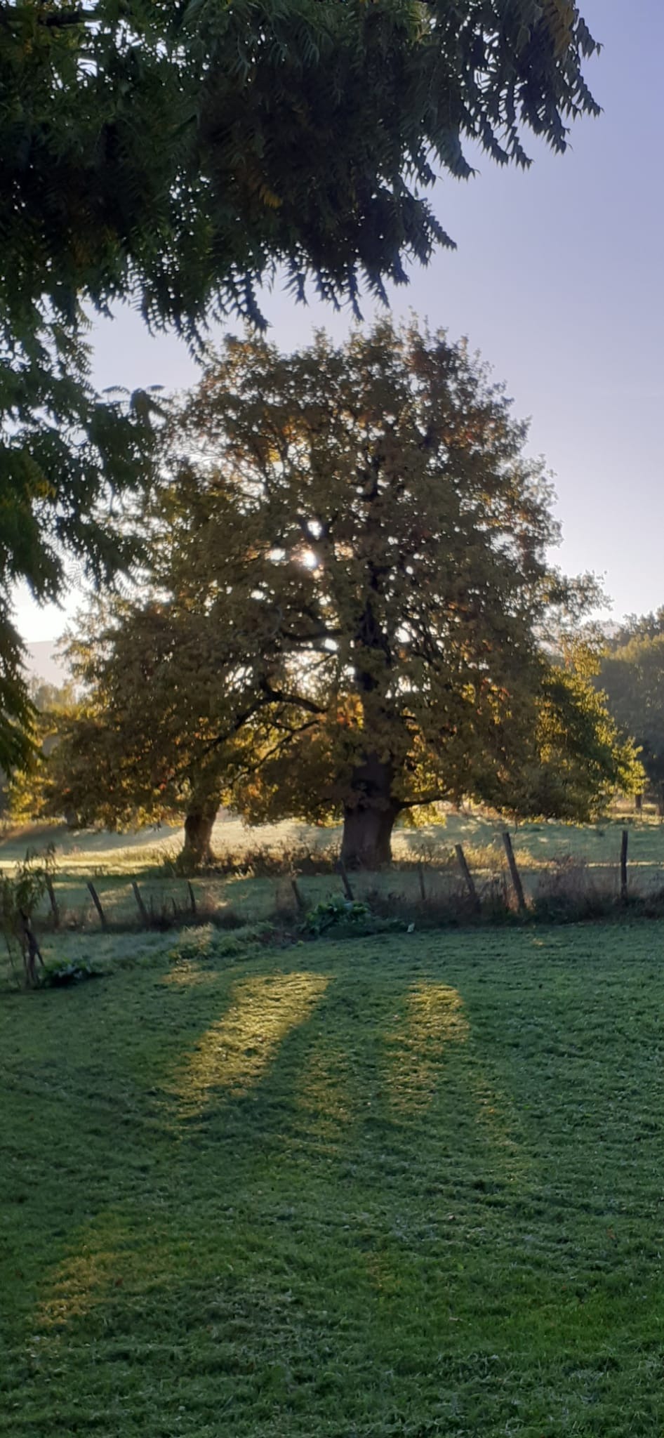 Petite maison dans la prairie_Clelles