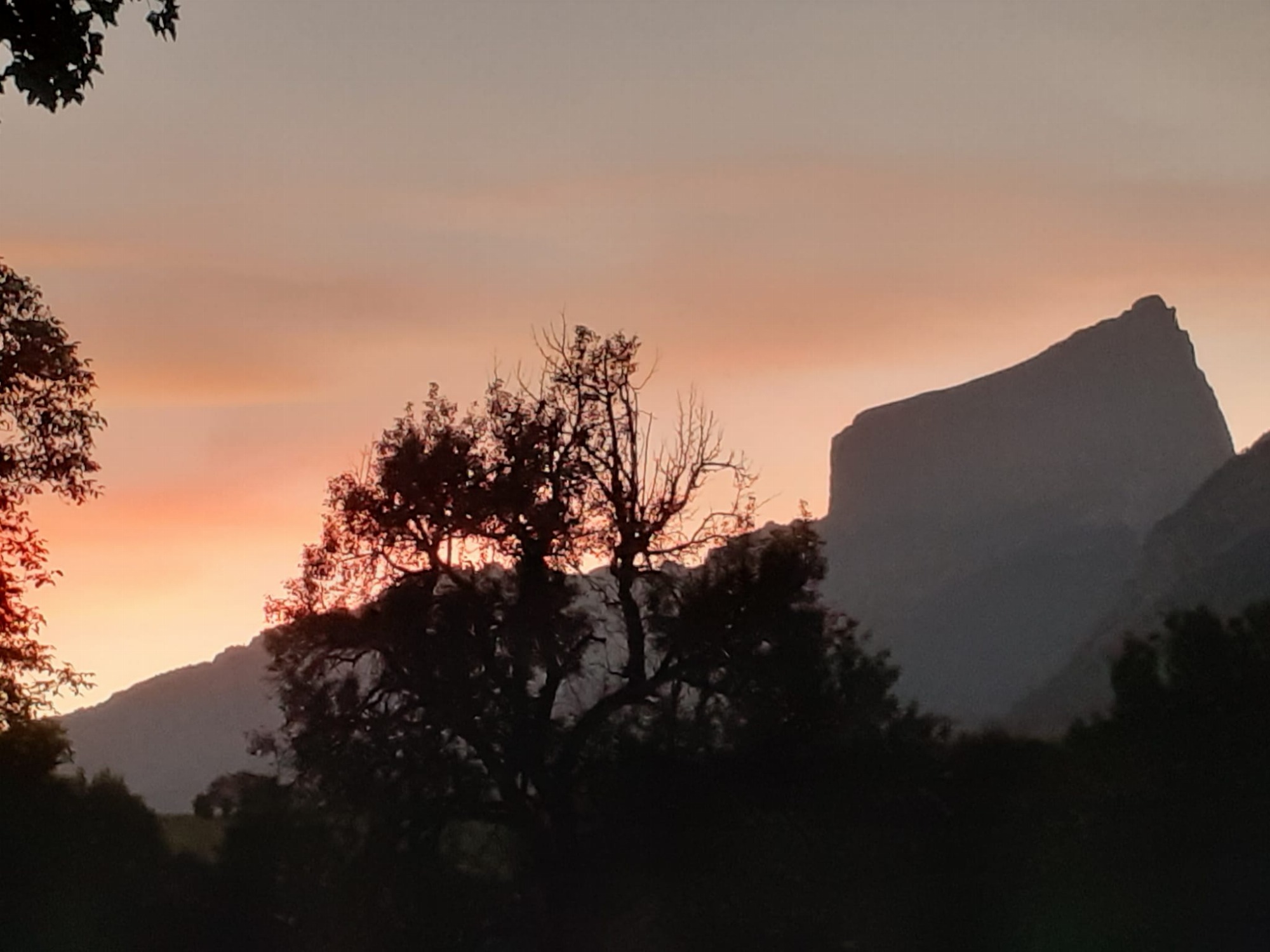 Petite maison dans la prairie_Clelles