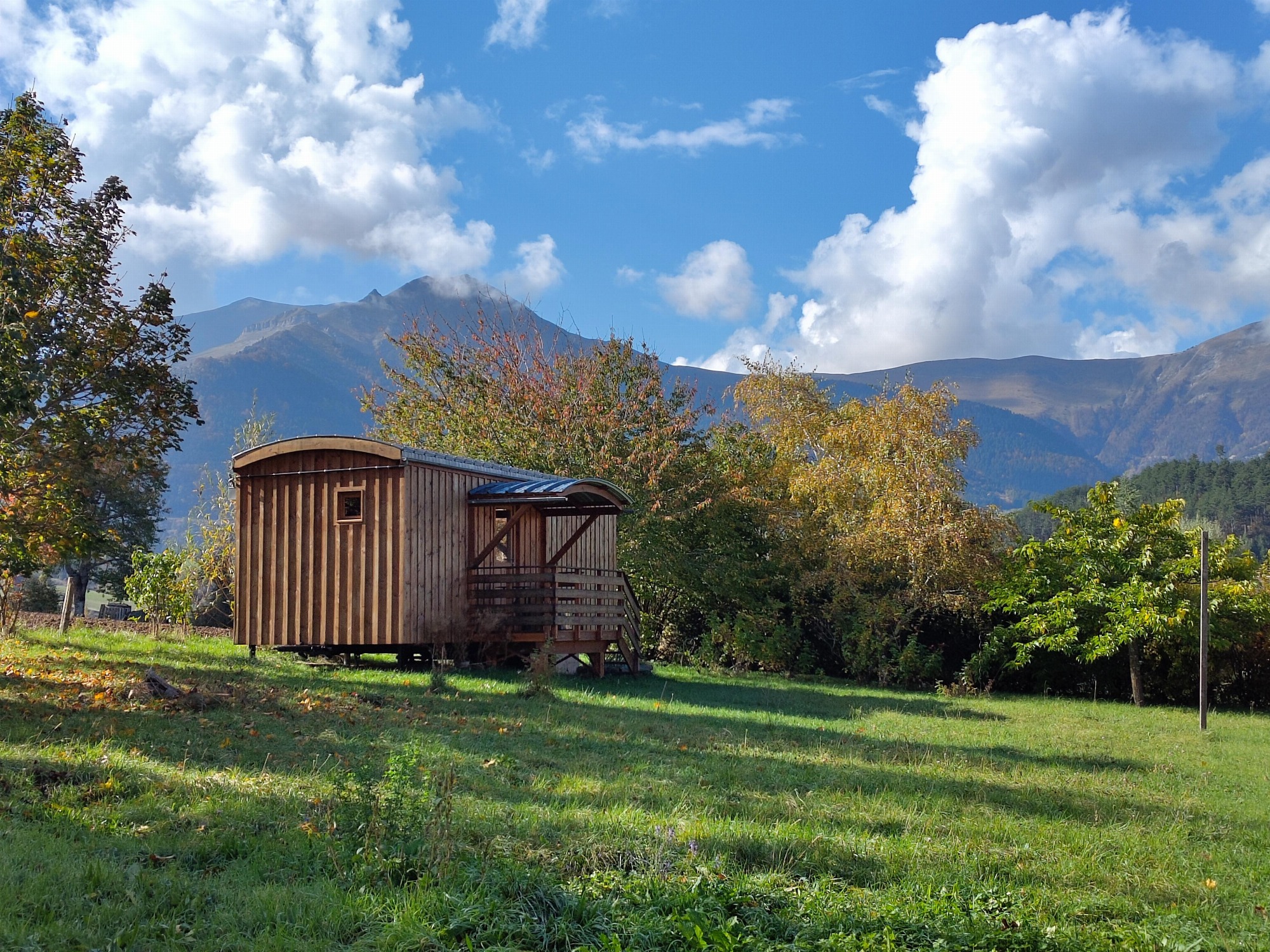 La Petite Ourse dans la prairie, Gîte les Ombelles à Avers, montagne du Jocou
