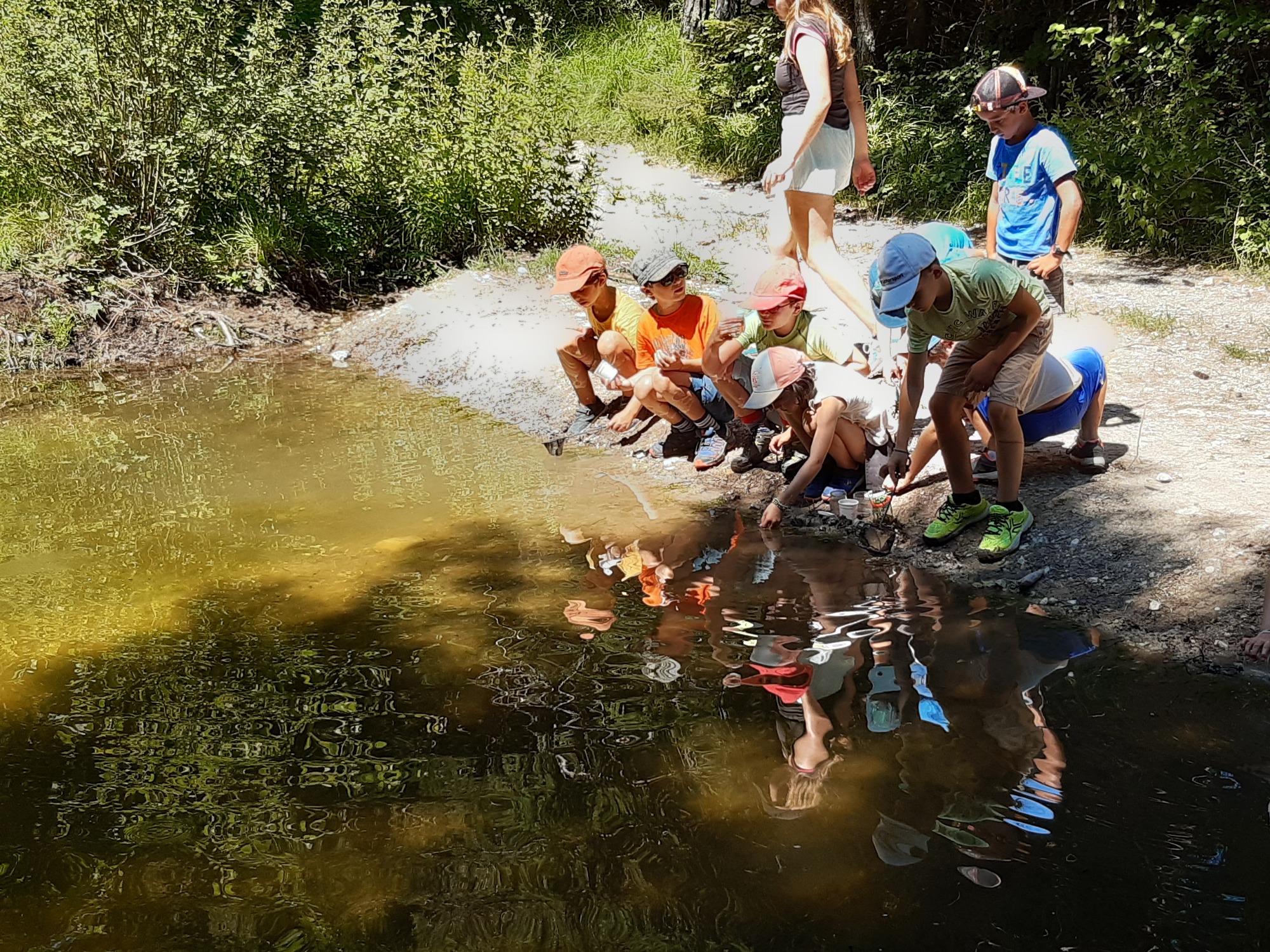 enfants qui observent l'eau