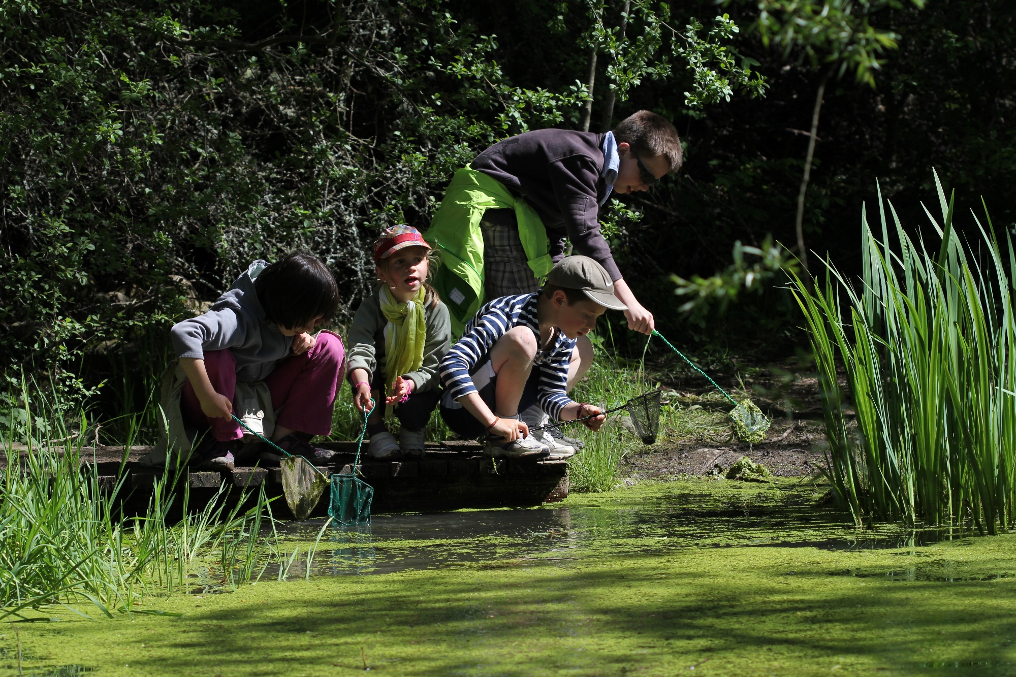 observation d'un étang