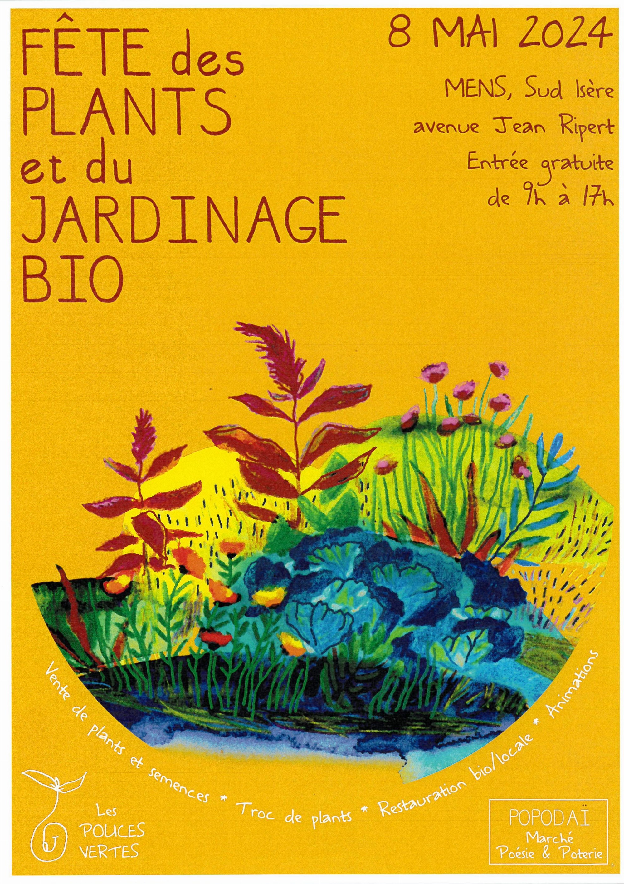 Vente des plants et sémences