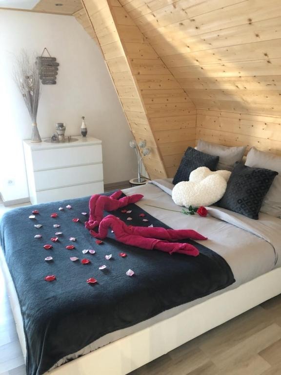 Le Cocoon Isérois_Châtel-en-Trièves