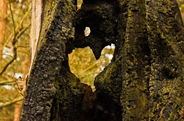 En Nature Simon.e_Mens