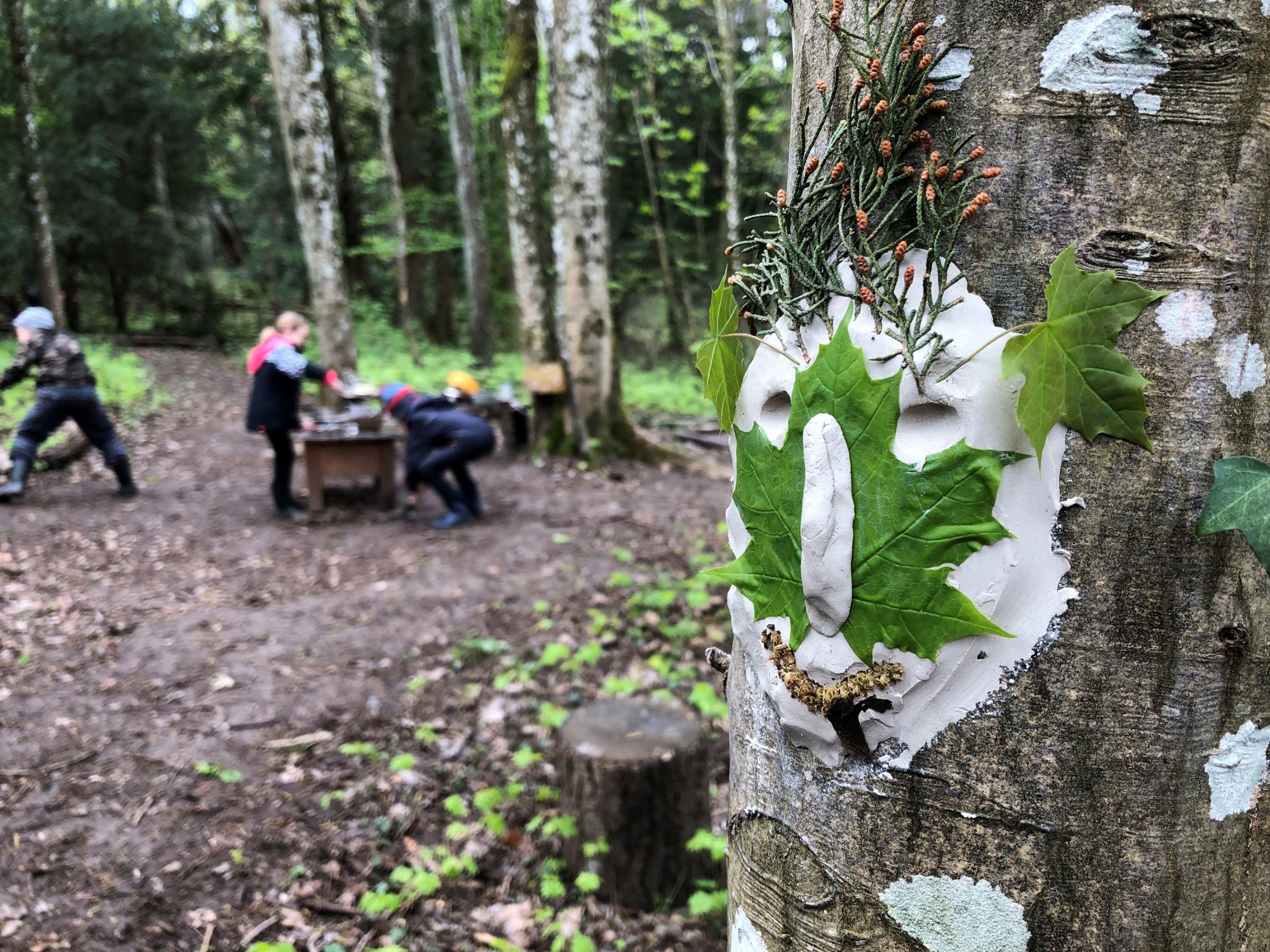 En Nature Simon.e_Mens