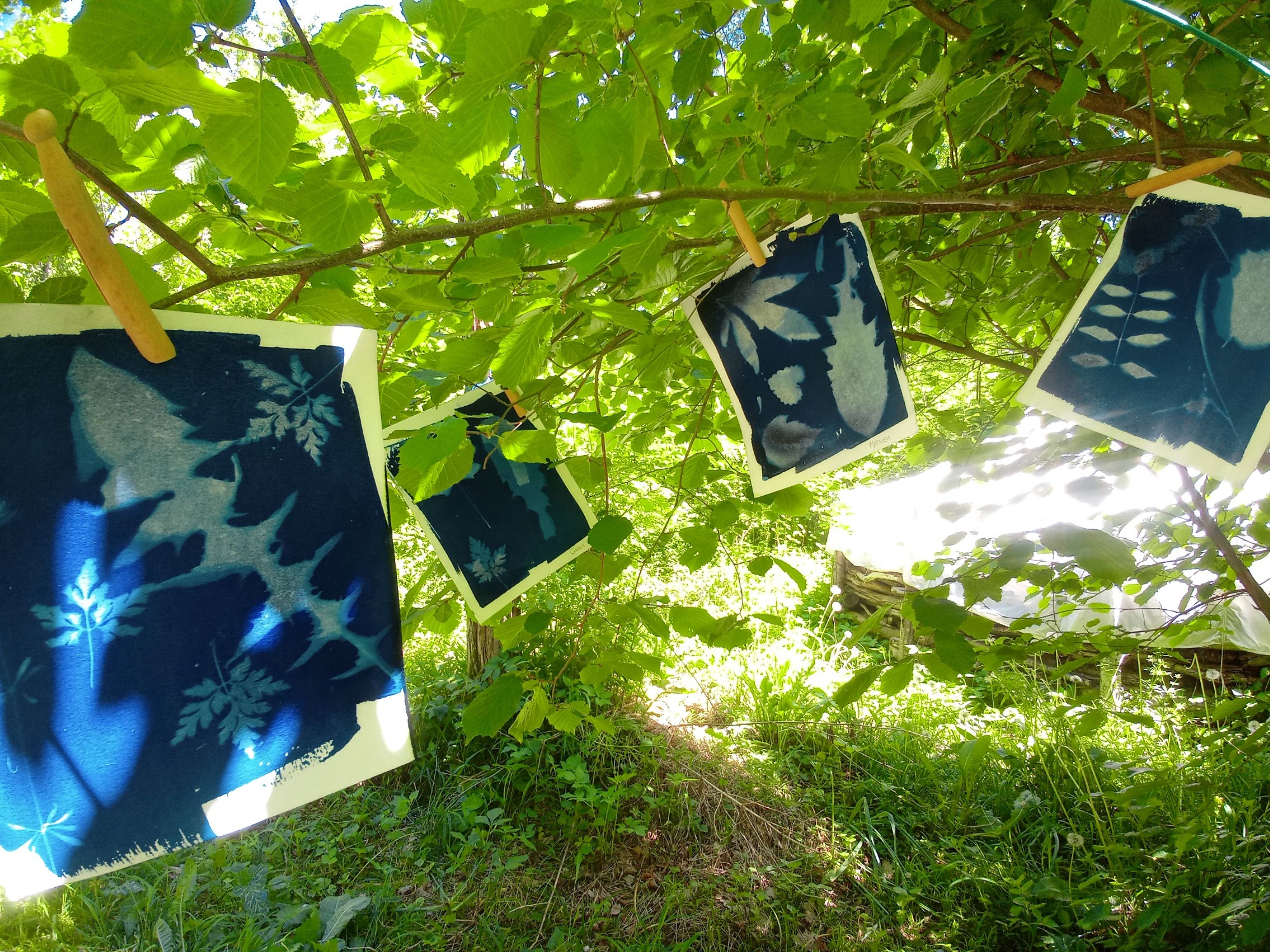 En Nature Simon.e_Mens