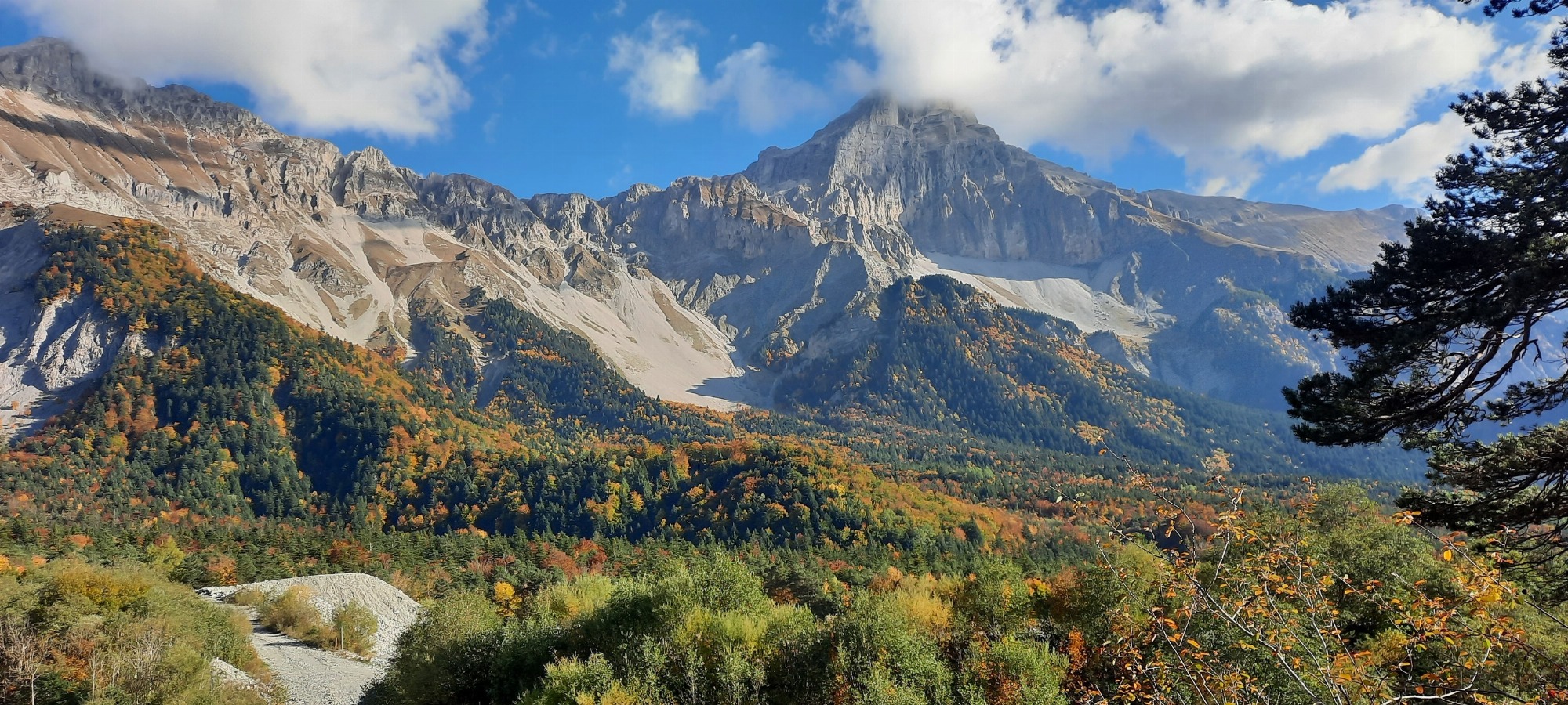 En nature Simon.e_Tréminis