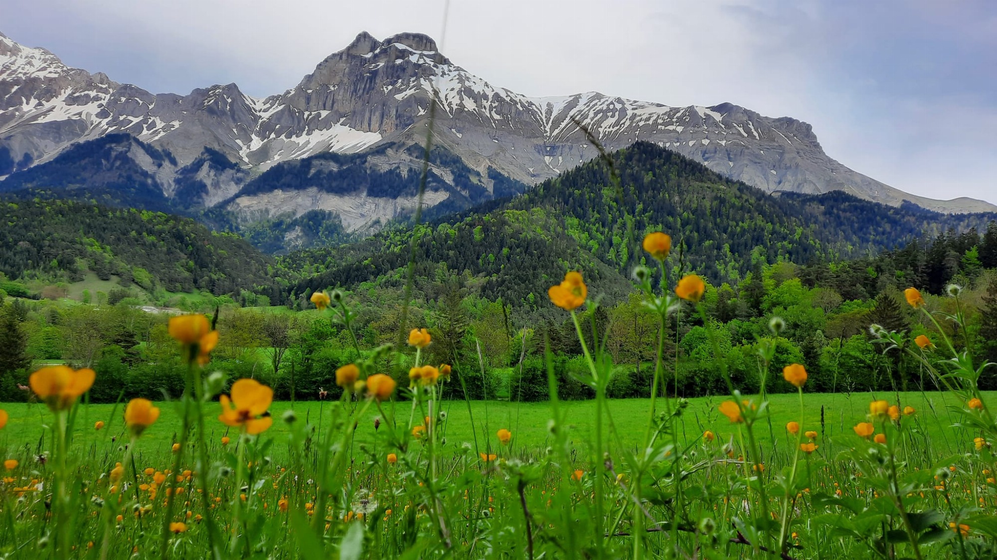 En nature Simon.e_Tréminis