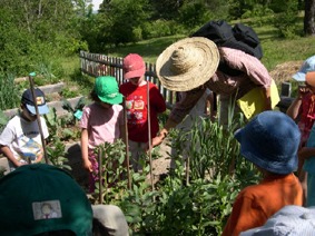Les Mercredis des enfants à Terre Vivante_Mens