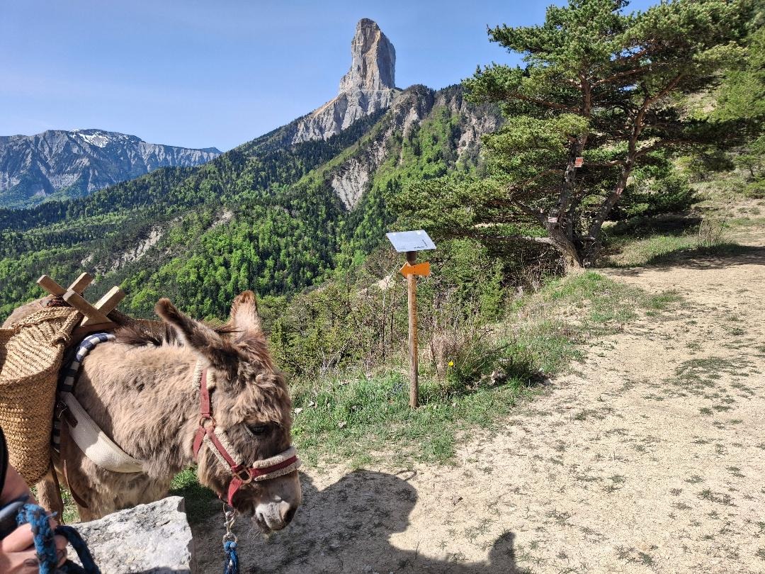 Kiki et le Mont Aiguille