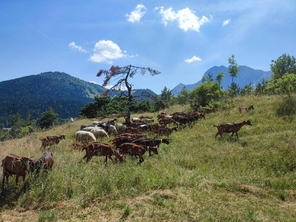 Les Cimes_Gresse-en-Vercors