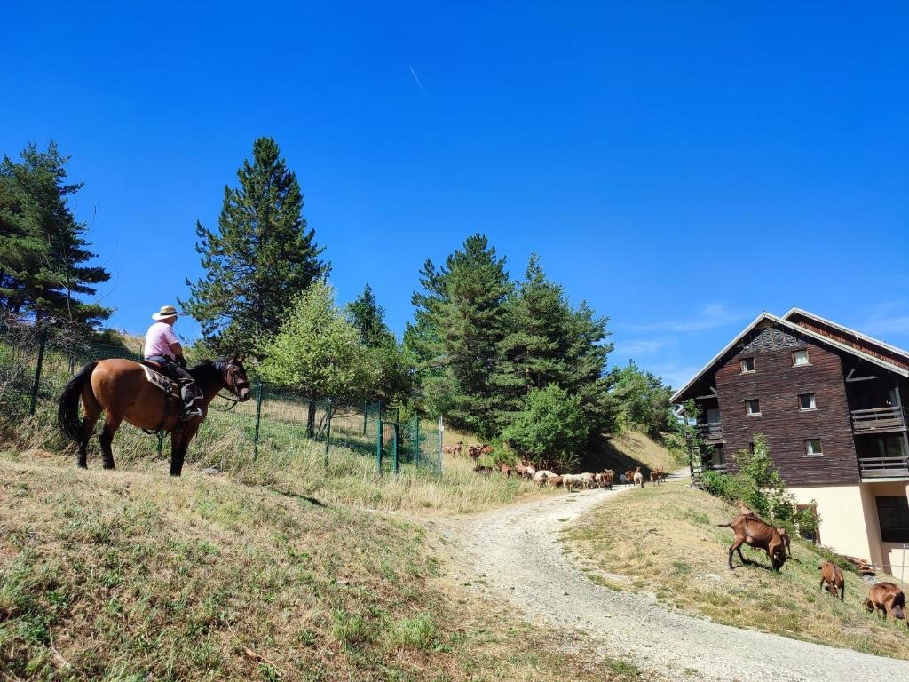 Les Cimes_Gresse-en-Vercors