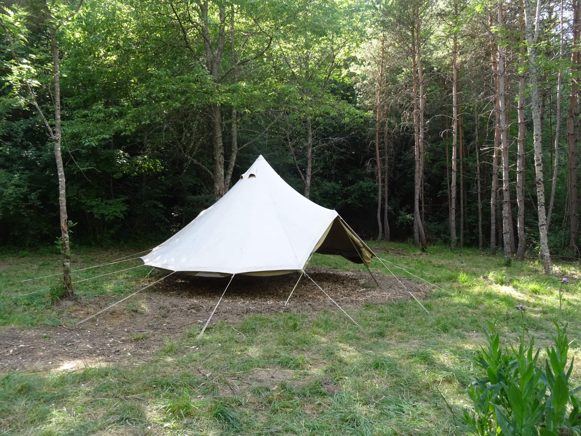 Abri tipi au bivouac de la clairière