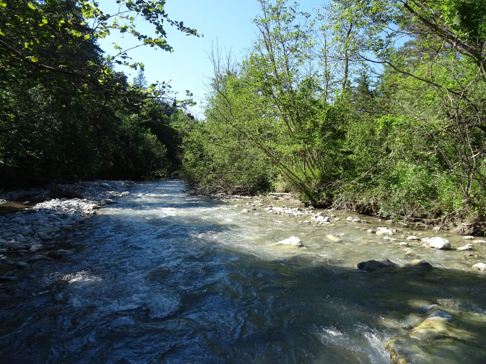 La rivière de l'Ebron au bivouac de la clairière