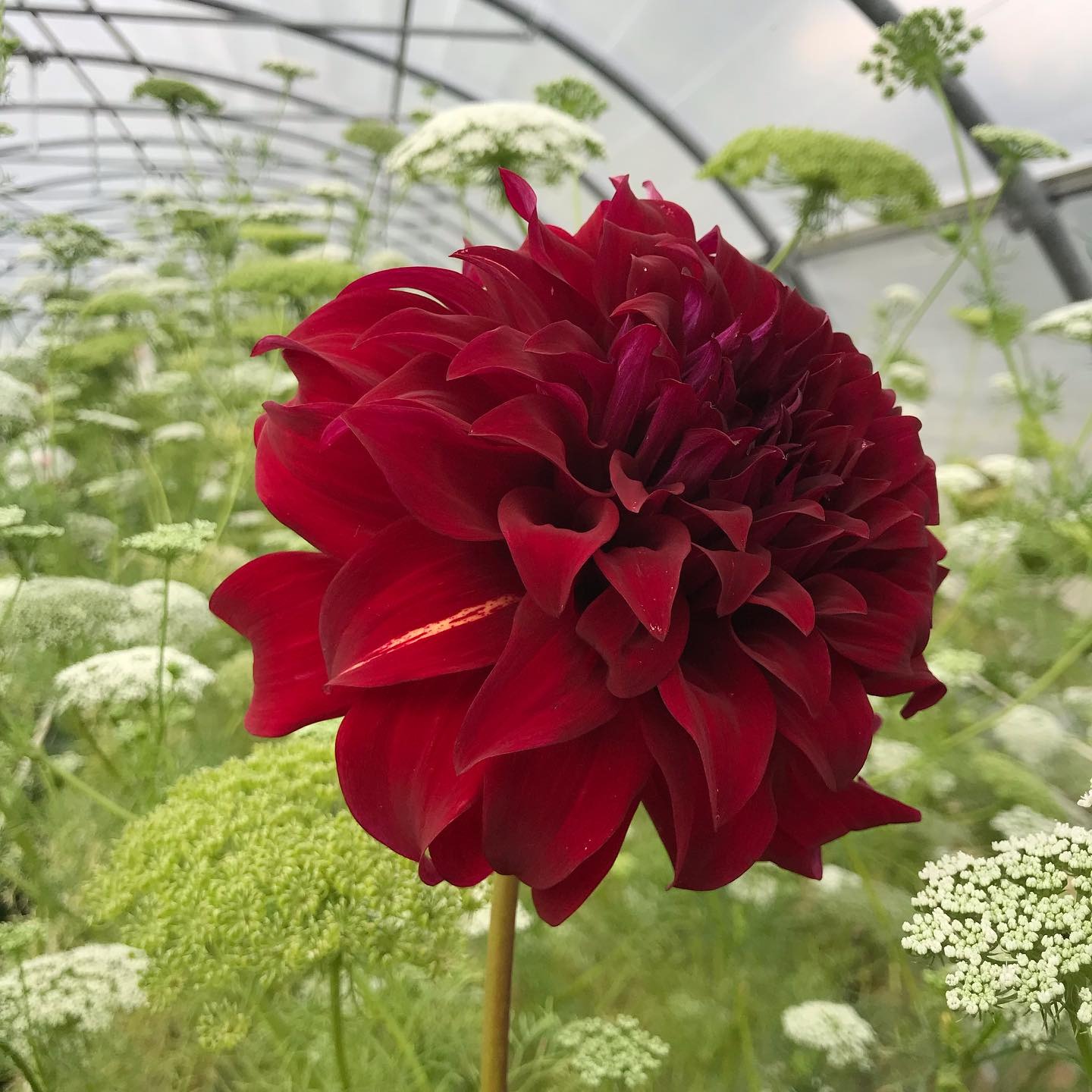 Les Jardins de Traverse_Chichilianne