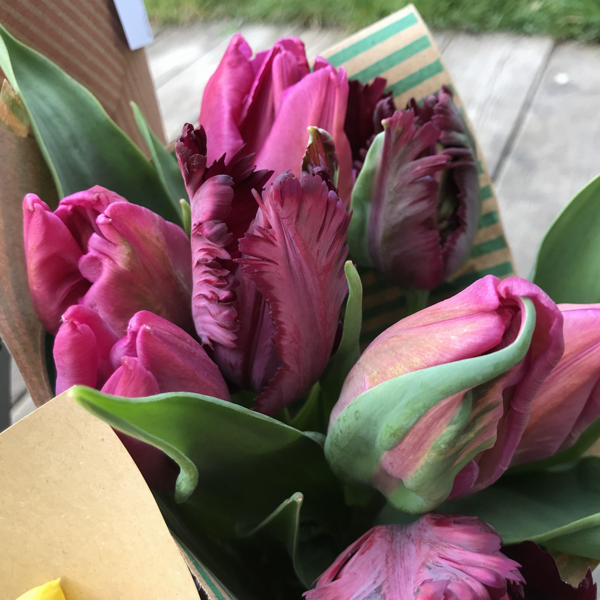 Les Jardins de Traverses_Chichilianne