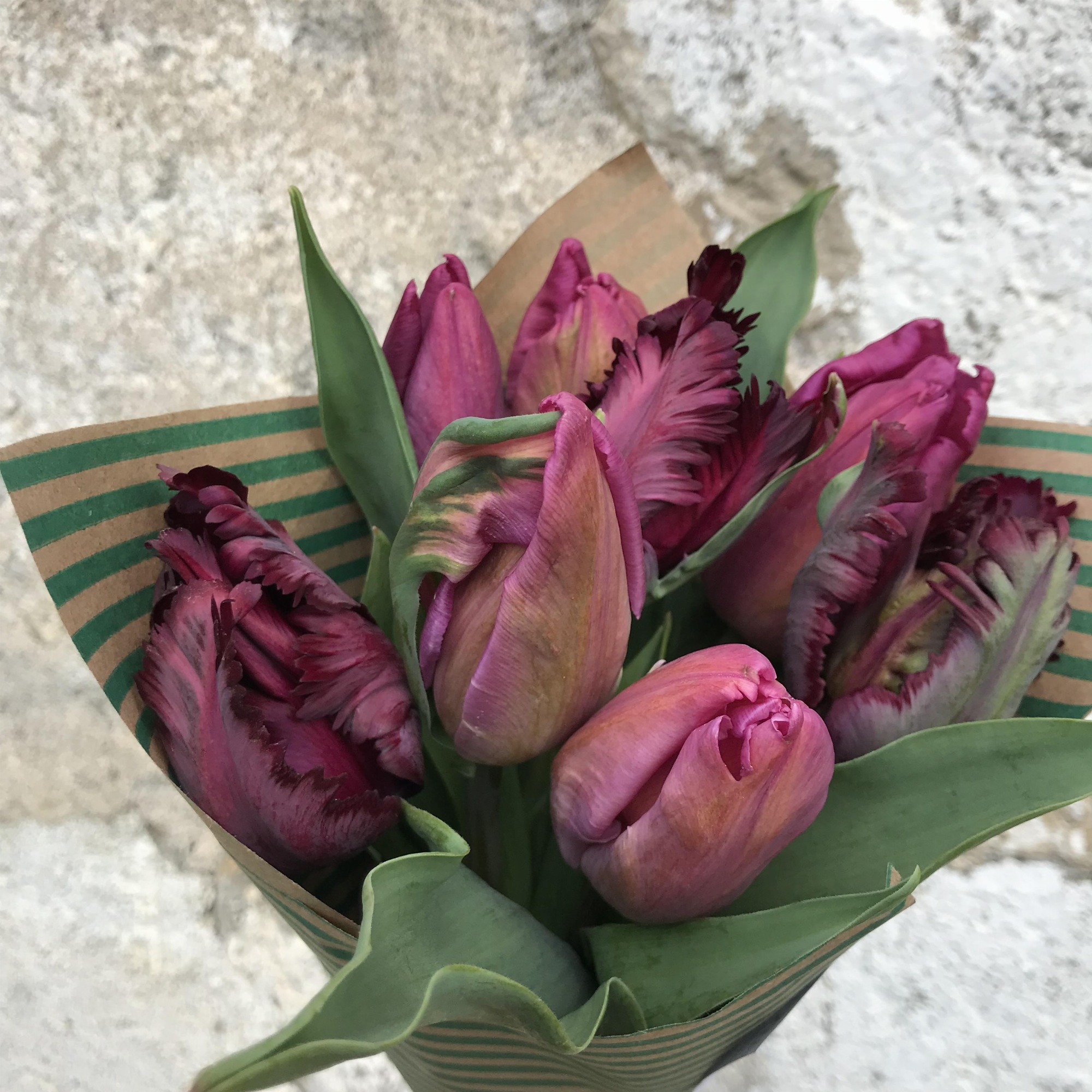 Les Jardins de Traverses_Chichilianne