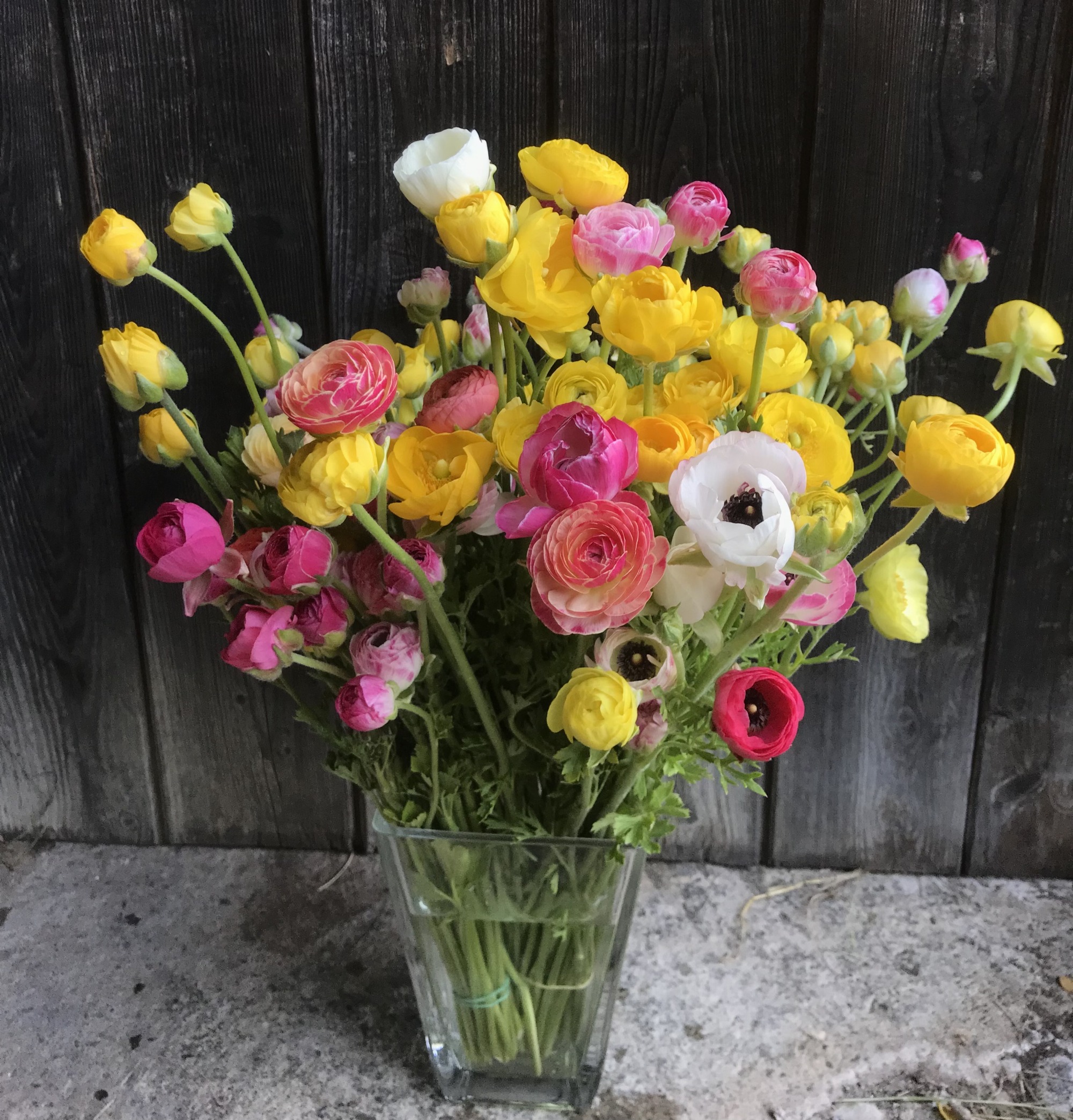 Les Jardins de Traverses_Chichilianne