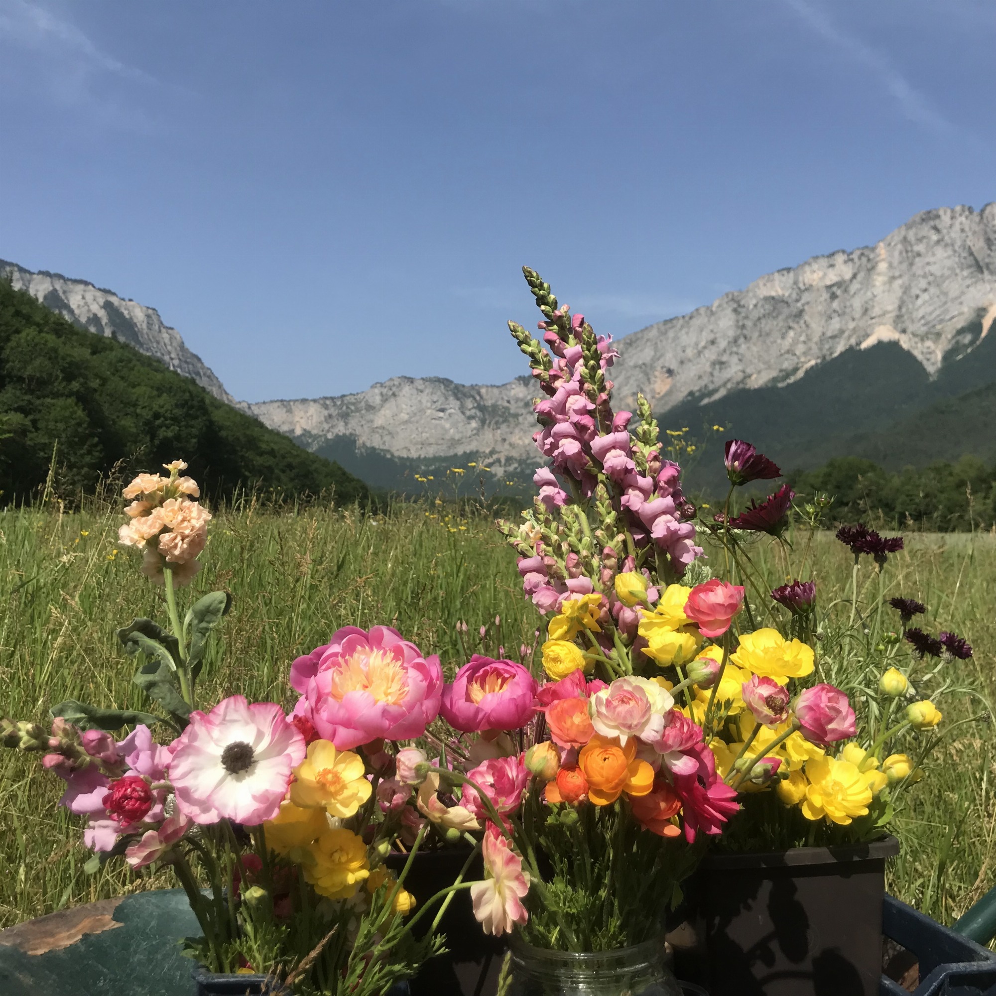 Les Jardins de Traverses_Chichilianne