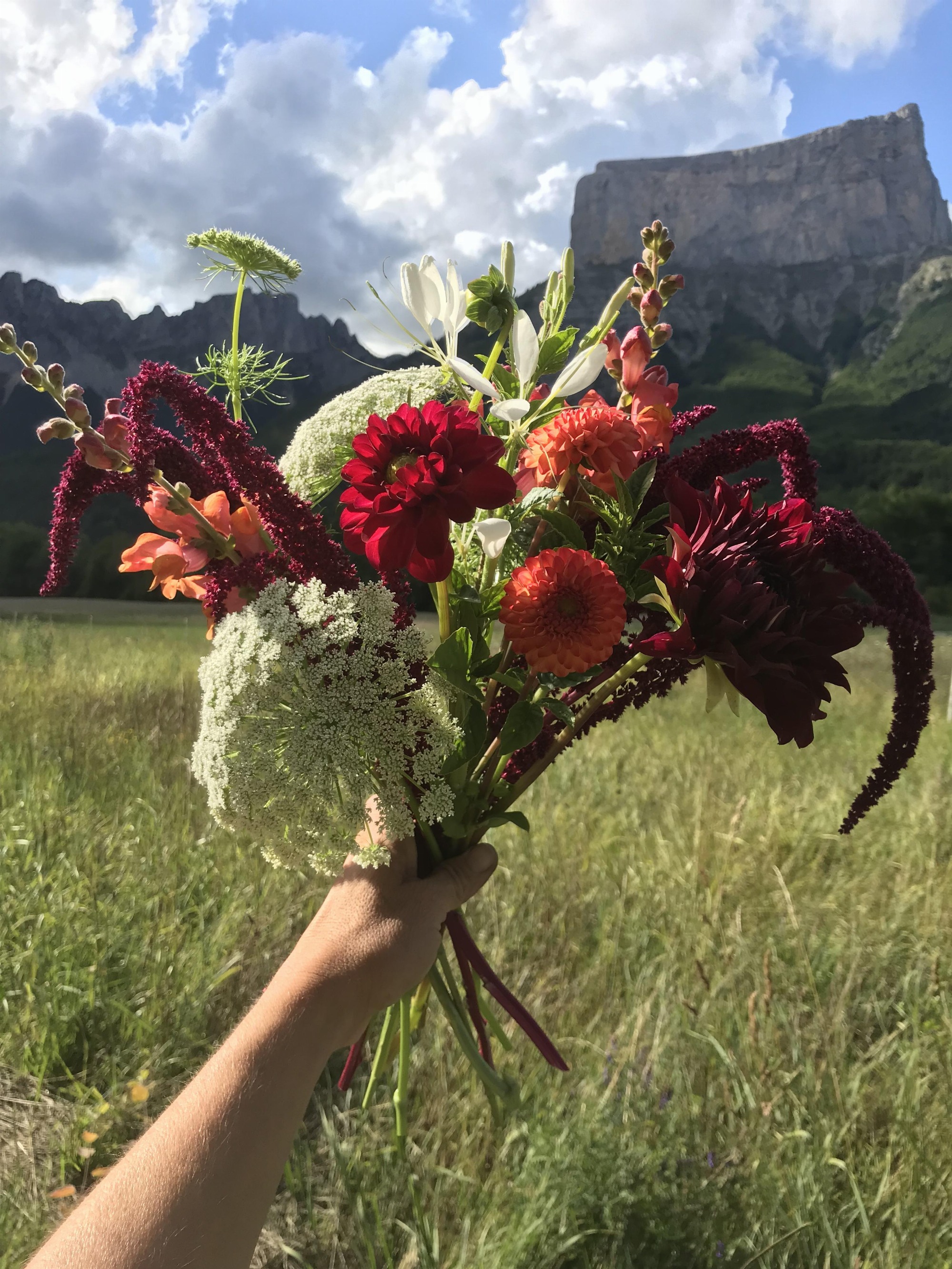 Les Jardins de Traverses_Chichilianne