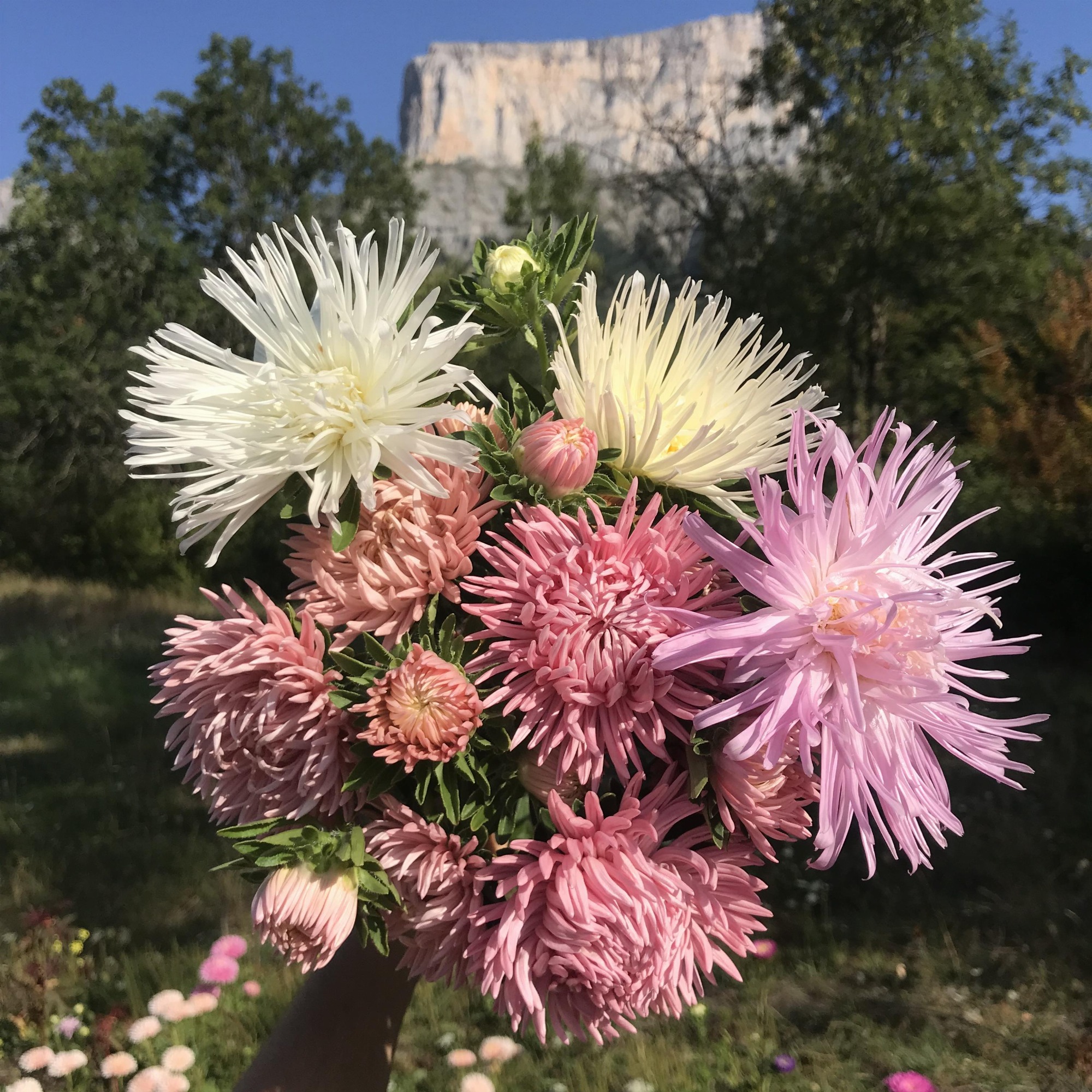 Les Jardins de Traverses_Chichilianne