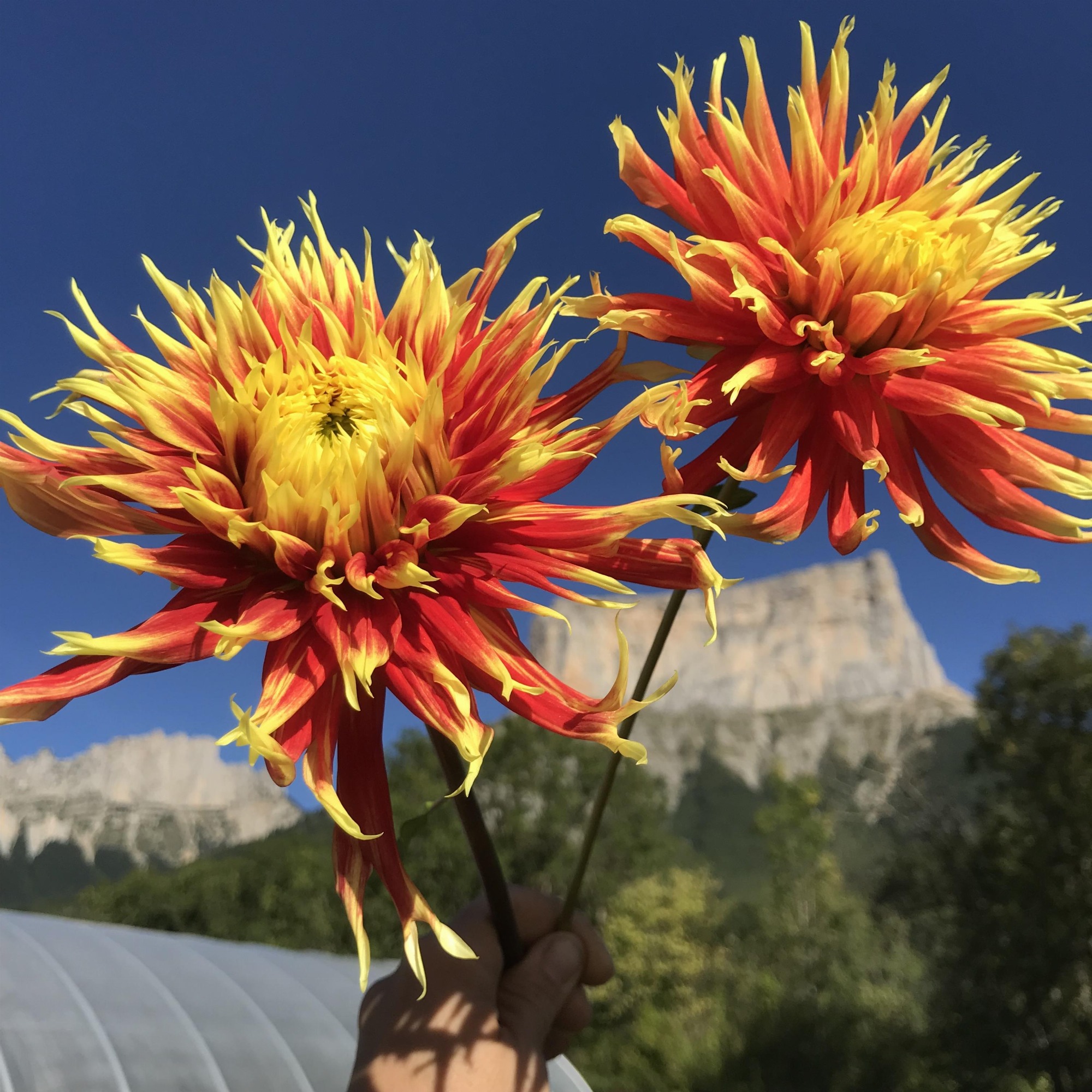 Les Jardins de Traverses_Chichilianne