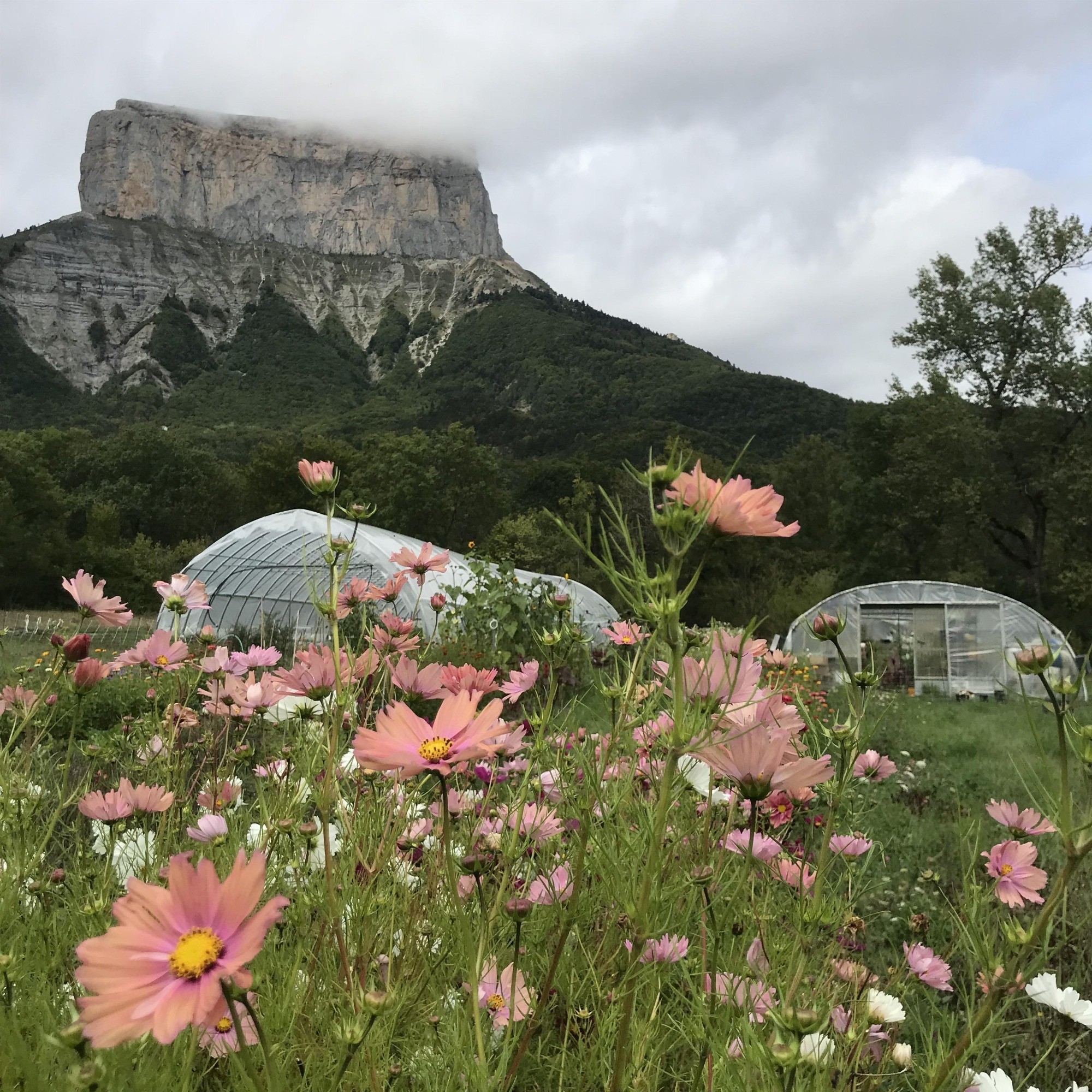 Les Jardins de Traverses_Chichilianne