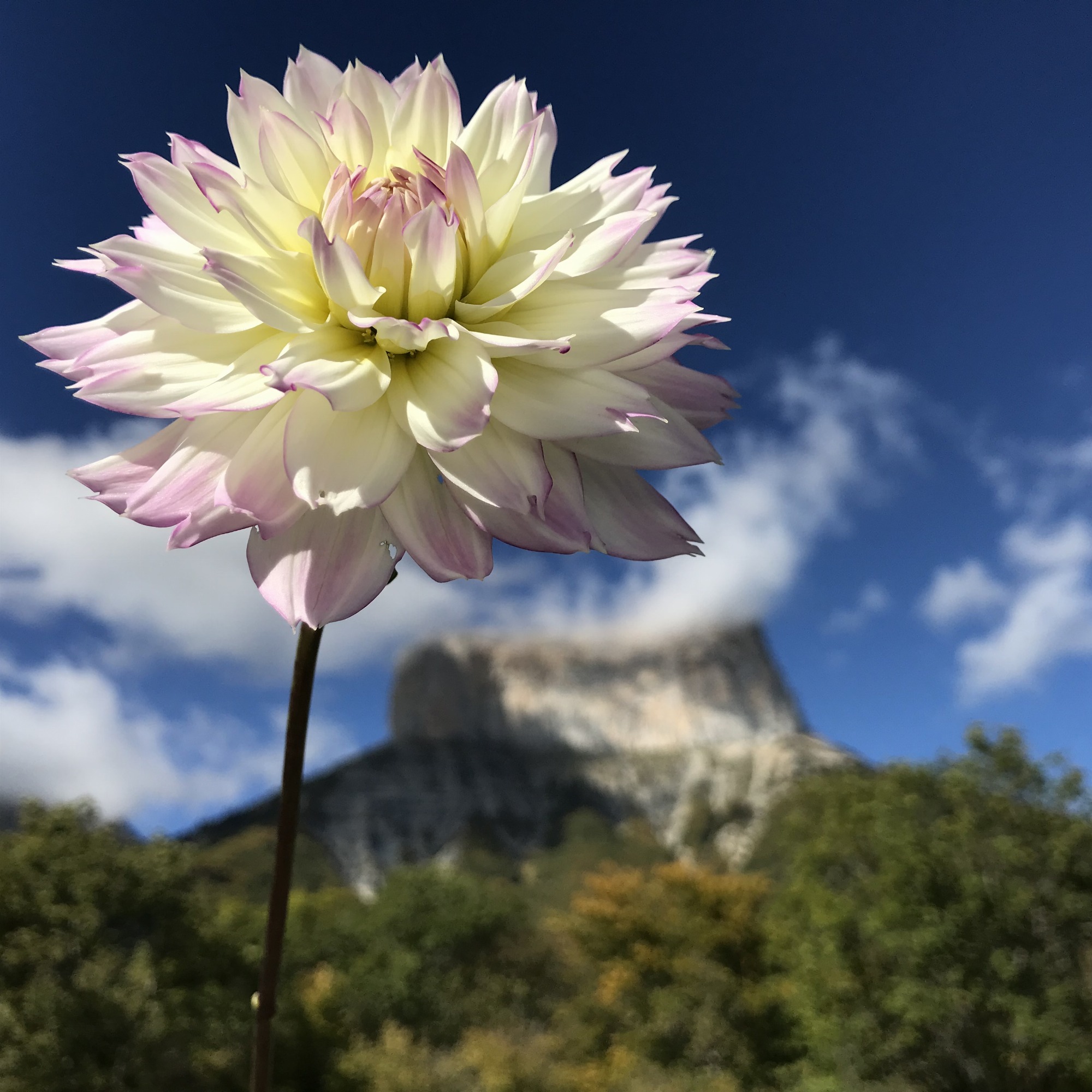 Les Jardins de Traverses_Chichilianne
