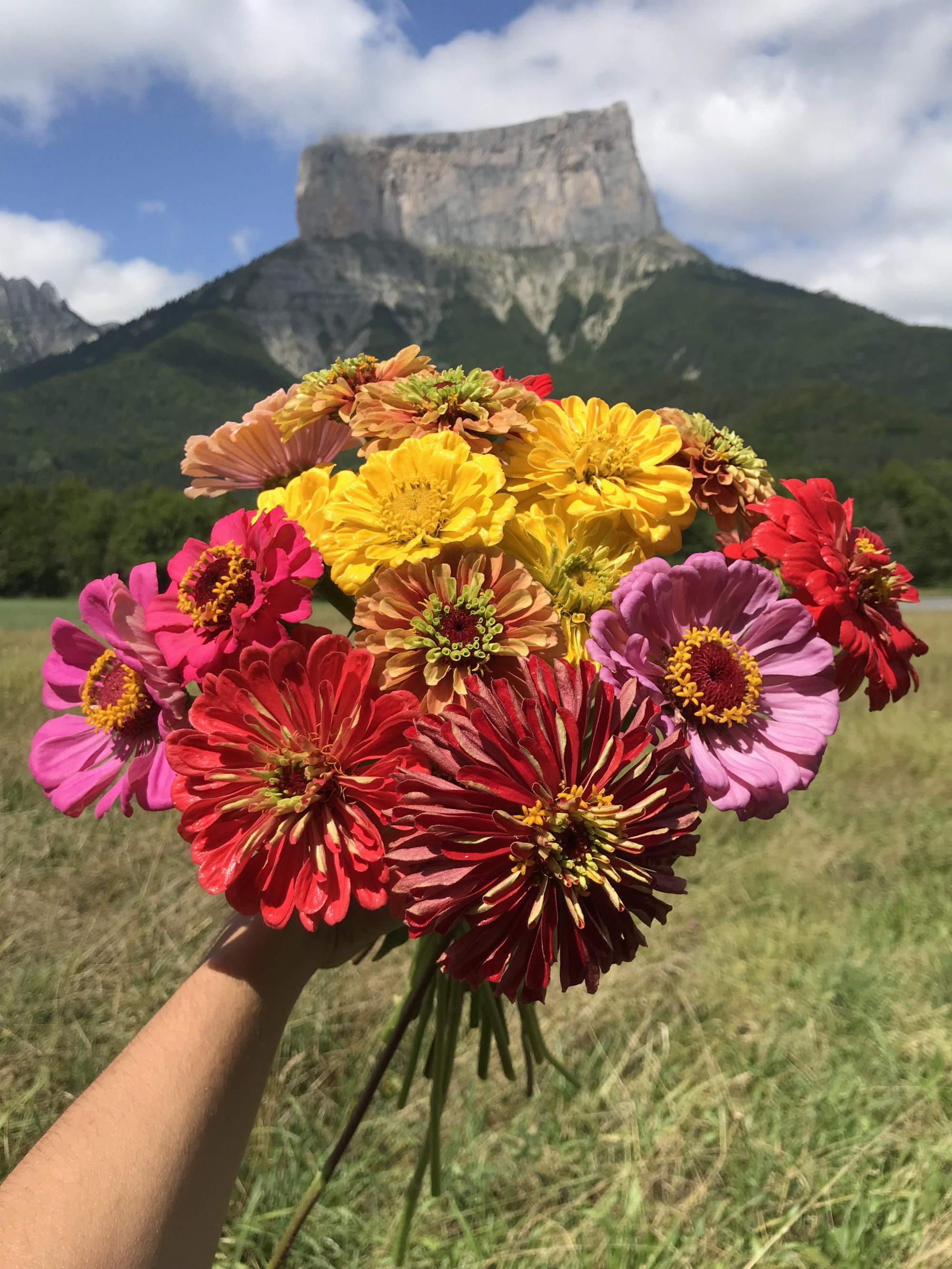 Les Jardins de Traverses_Chichilianne