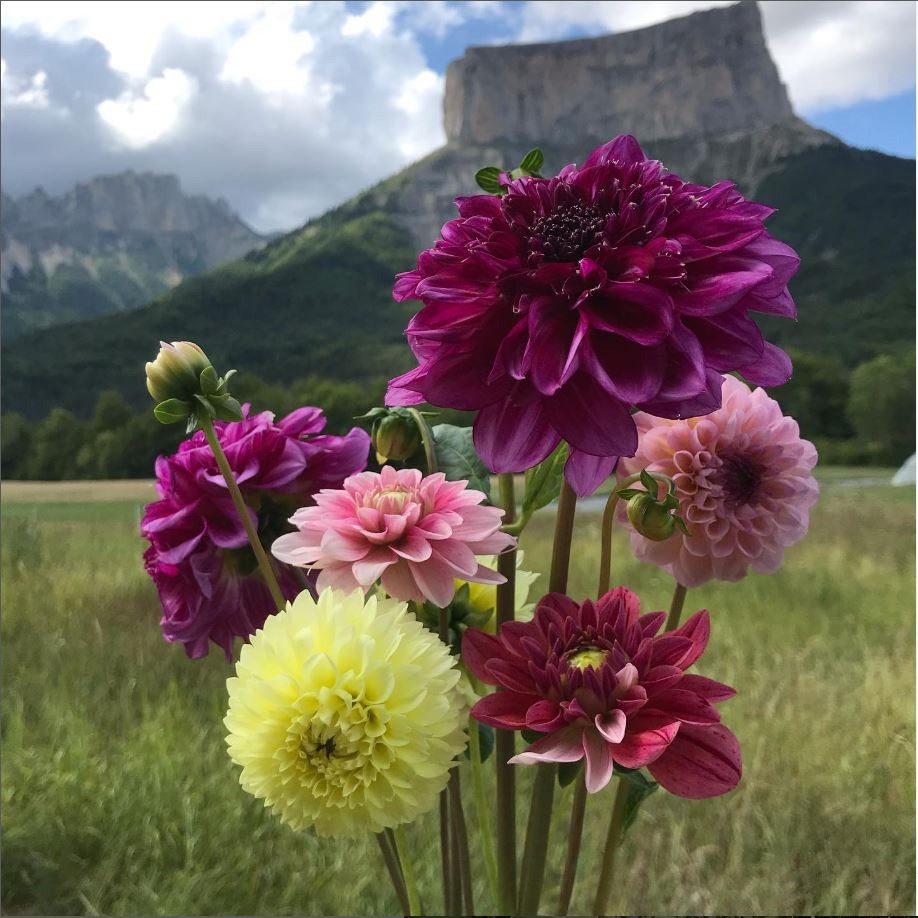 Les Jardins de Traverse_Chichilianne