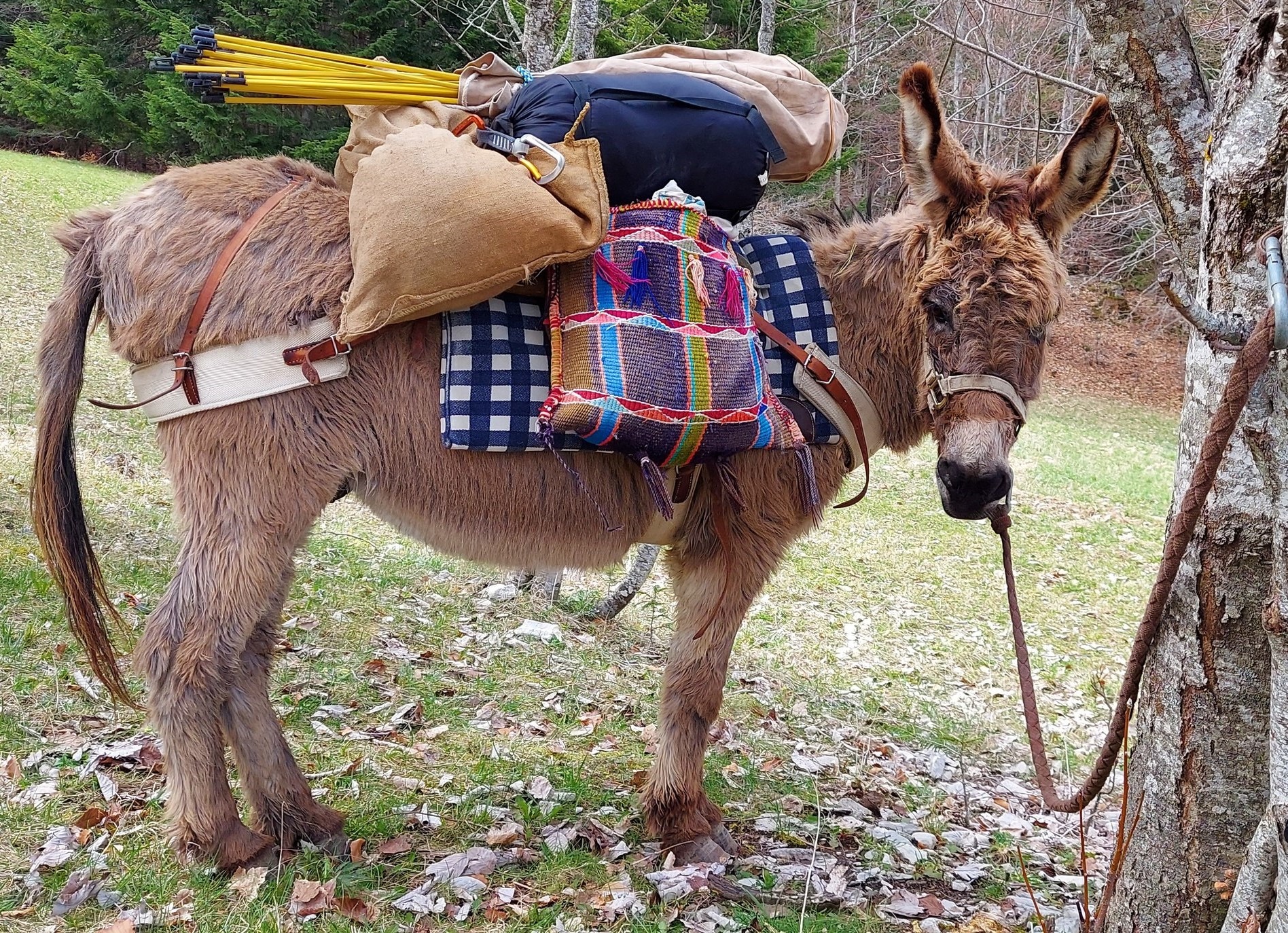 Journées et Bivouacs sans voiture_Clelles
