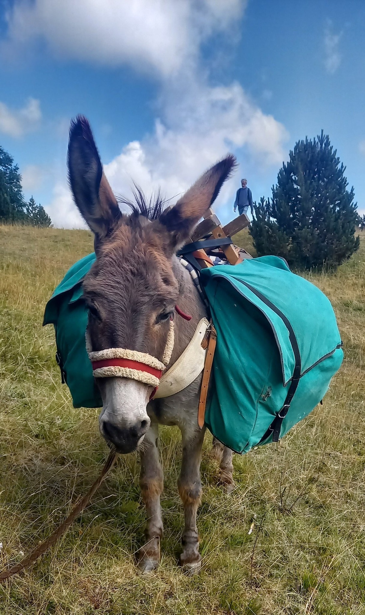 Journées et Bivouacs sans voiture_Clelles