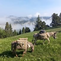 Journées et Bivouacs sans voiture_Clelles