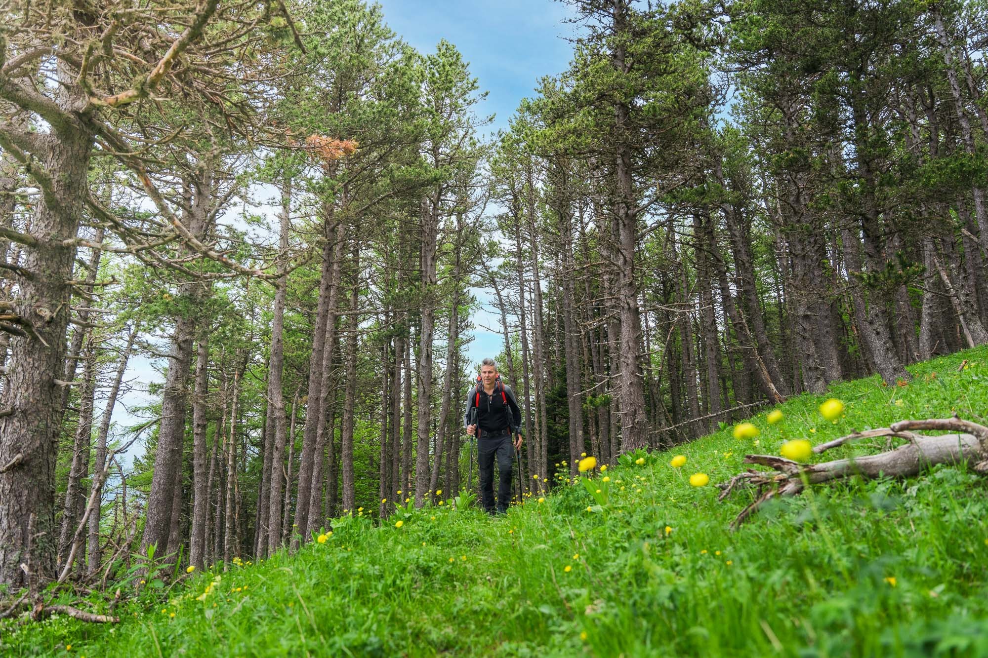 Rando & Nous : Autour de l'Obiou_Tréminis