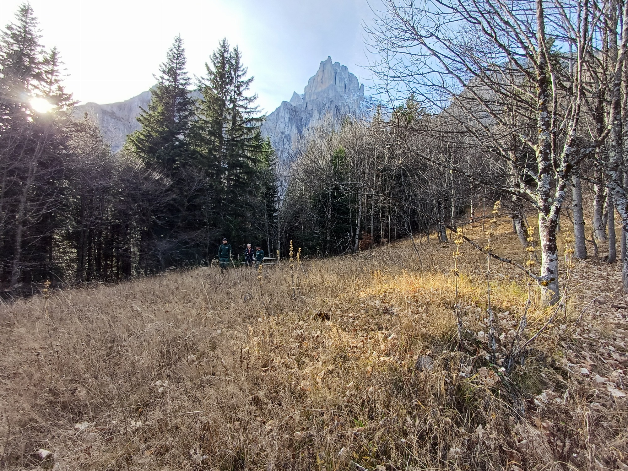 Aire de bivouac de Sous Bachilianne_Châtel-en-Trièves