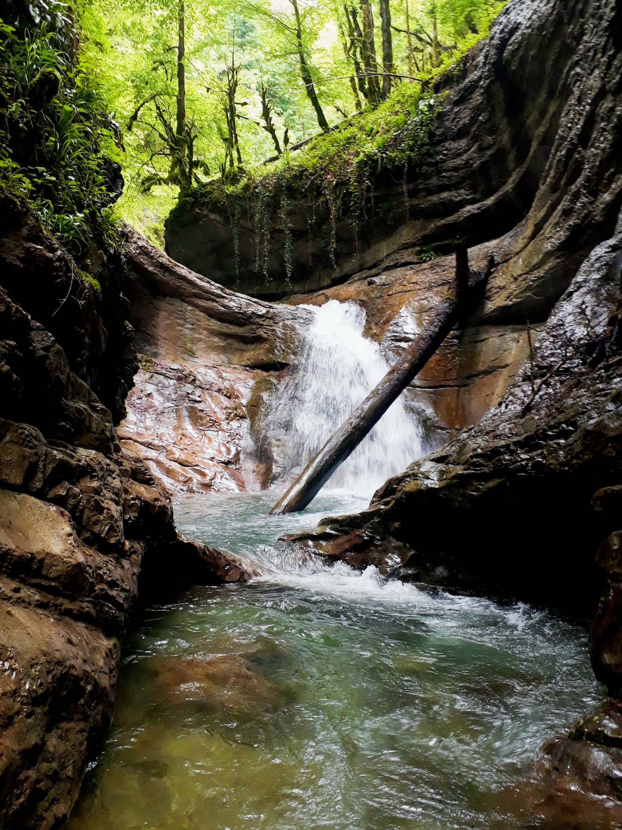 Canyoning avec Amont Canyon