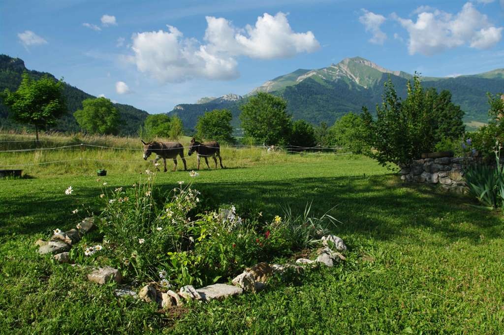 Les Ombelles gîte de séjour_Lalley